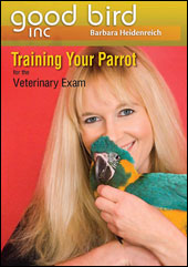 parrot training video
