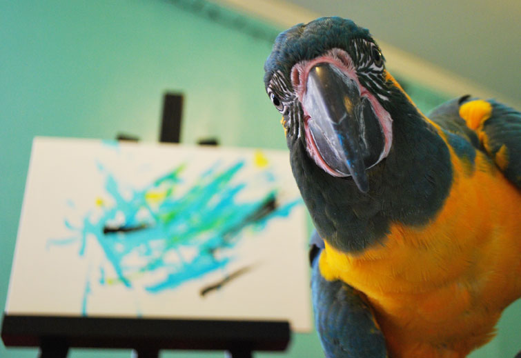 Blu Lu and art