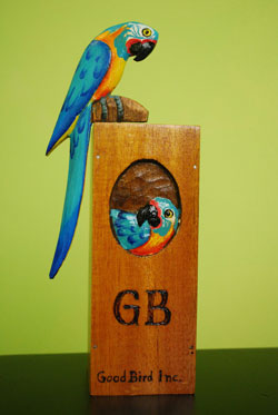 Parrot Conservation