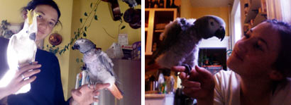 Good Bird Inc Testimonials