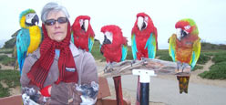 parrot dvd testimonials