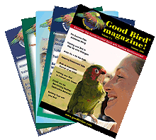 Augusta Parrot Training Magazine